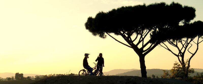 Two Cyclists under Tree