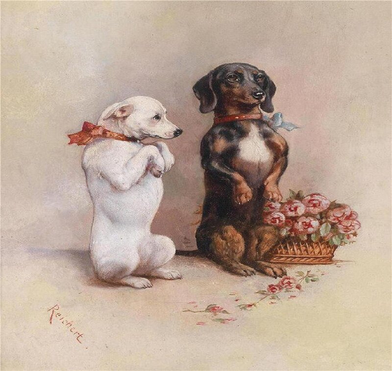 Two Dachshund Dogs — White