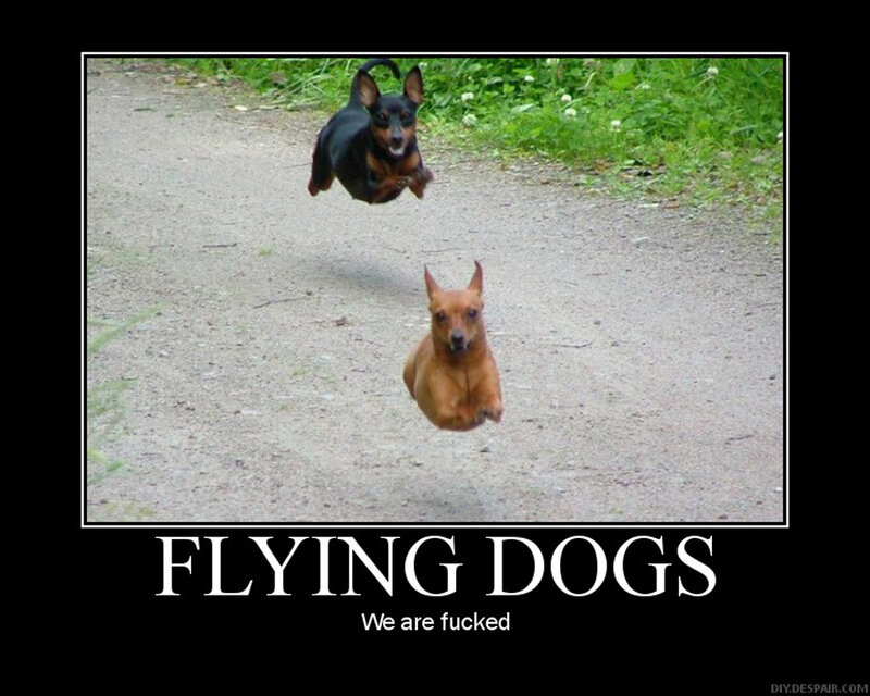 Two Dachshunds Running