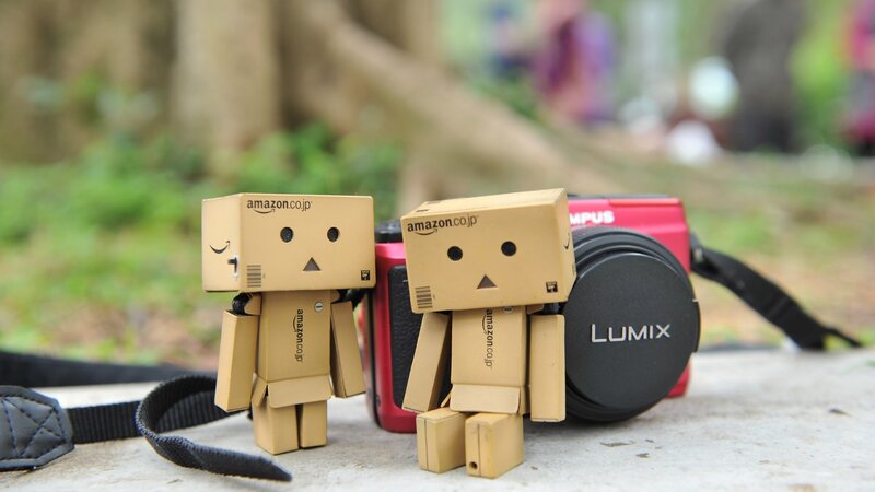 Two Danbo Figures — Brown, Calm