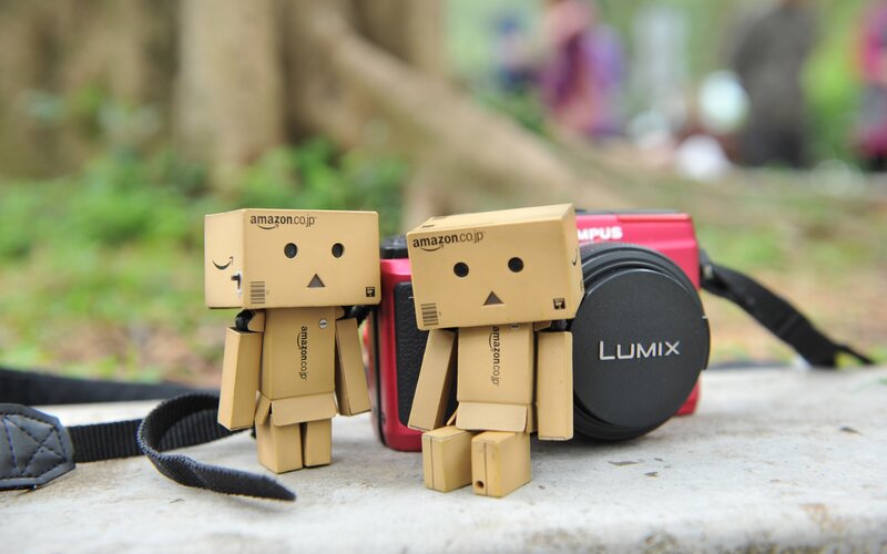 Two Danbo Figures — Brown