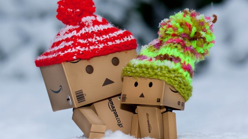 Two Danbo Figures in Snow — Brown