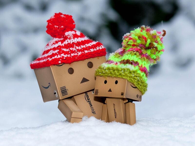 Two Danbo Figures in Snow