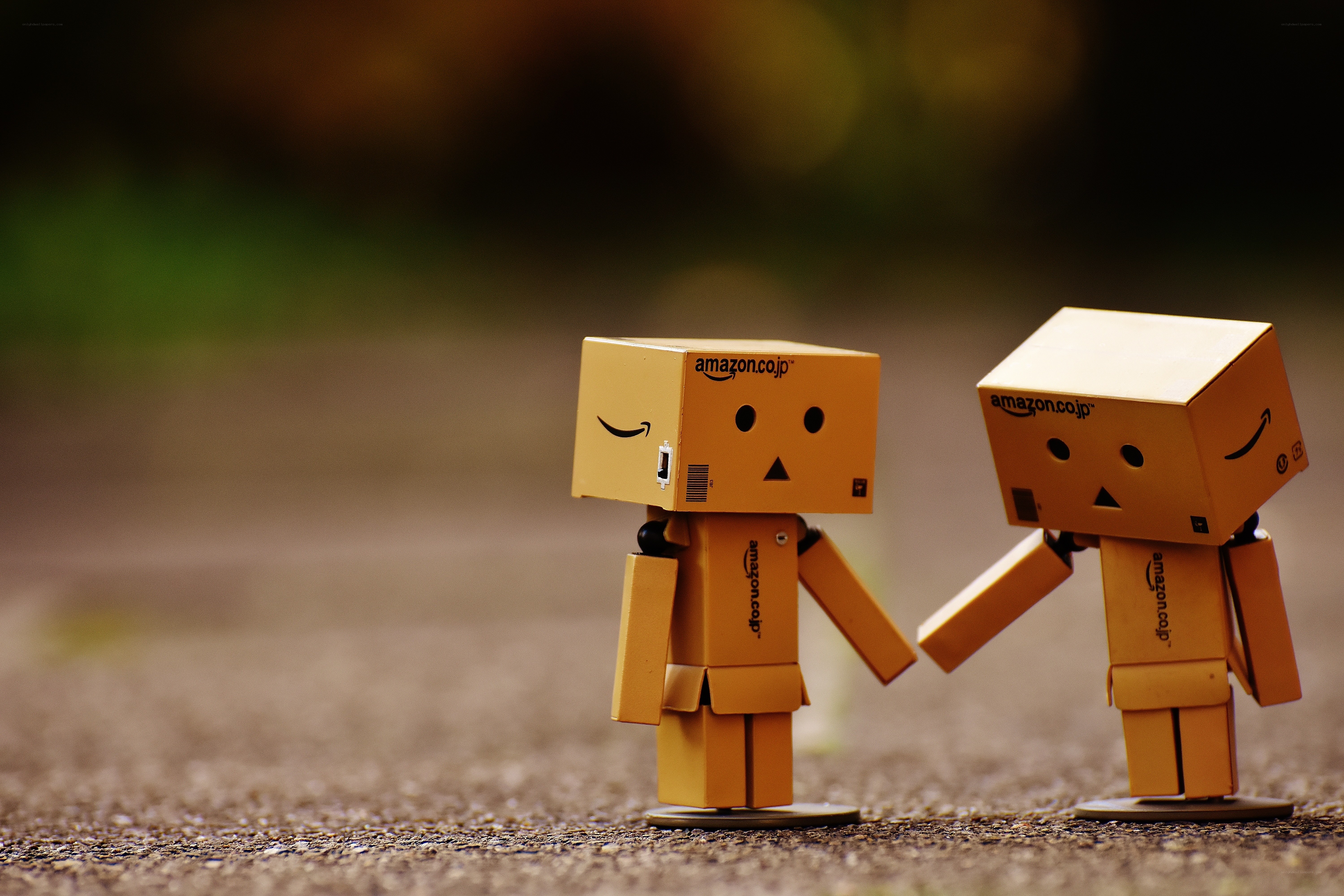 Two Danbo robots holding hands