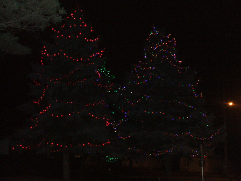 Two Decorated Trees