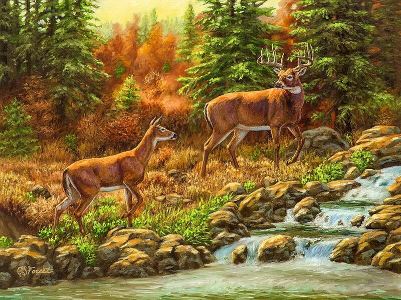 Two Deer by Stream