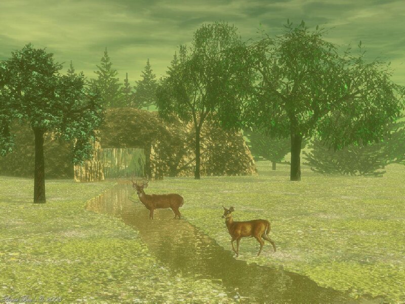 Two Deer in a Field
