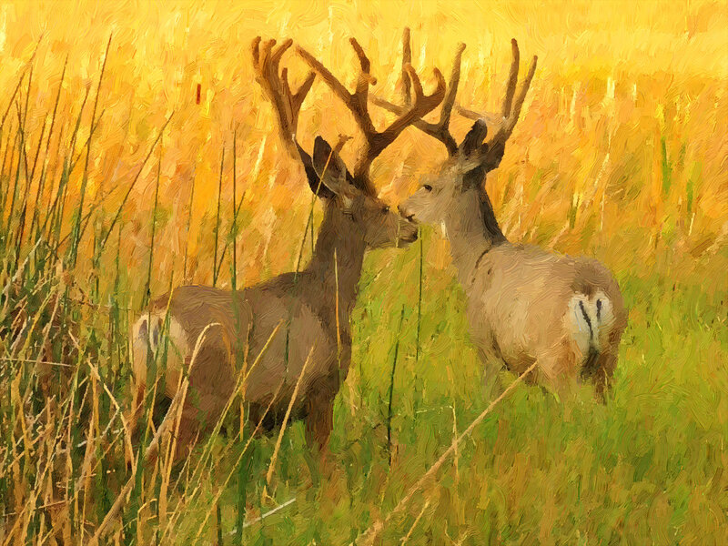 Two Deer in Field — Yellow, Serene
