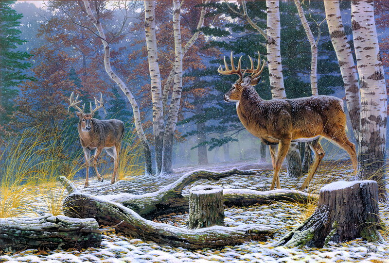 Two Deer in Forest — Brown, Serene, Winter, Painting