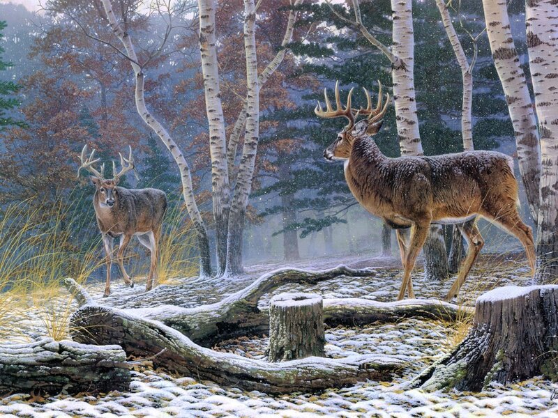 Two Deer in Forest — Brown, Serene, Winter, Painting, Trees