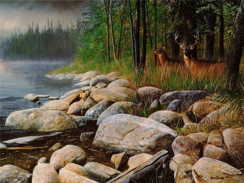 Two Deer in Forest — Green, Serene, Morning