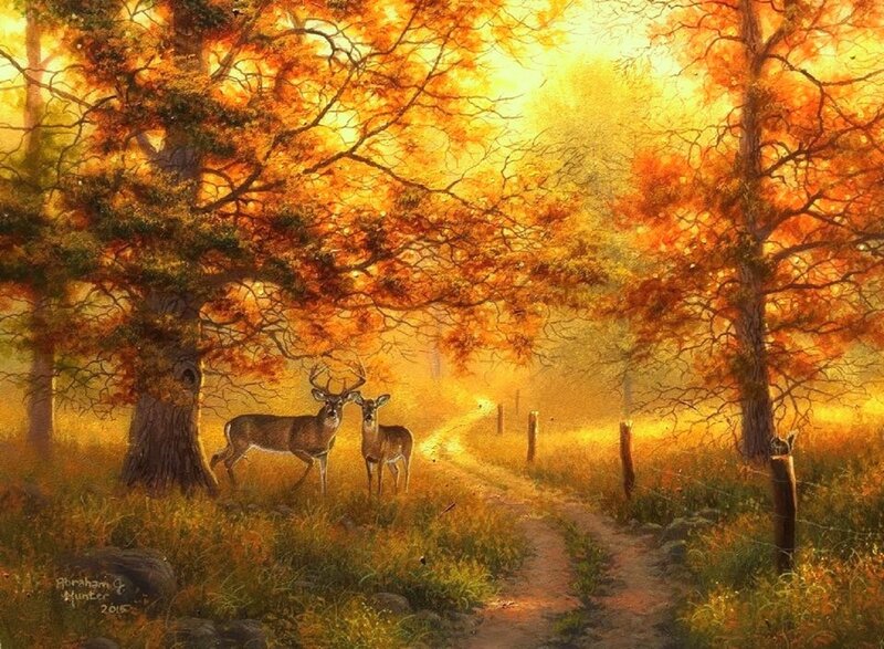 Two Deer in Forest — Orange, Serene