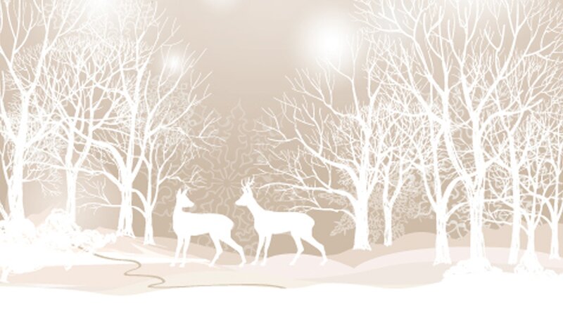 Two Deer in Forest — White
