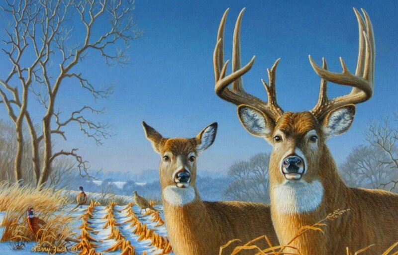 Two Deer in Winter — Brown