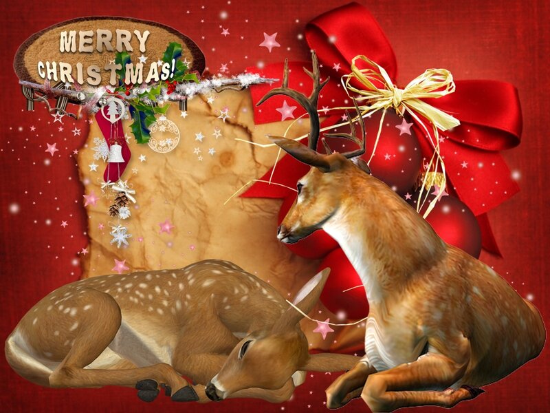 Two Deer in Winter — Red