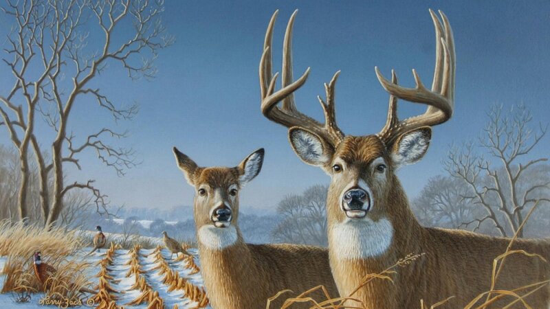Two Deer in Winter