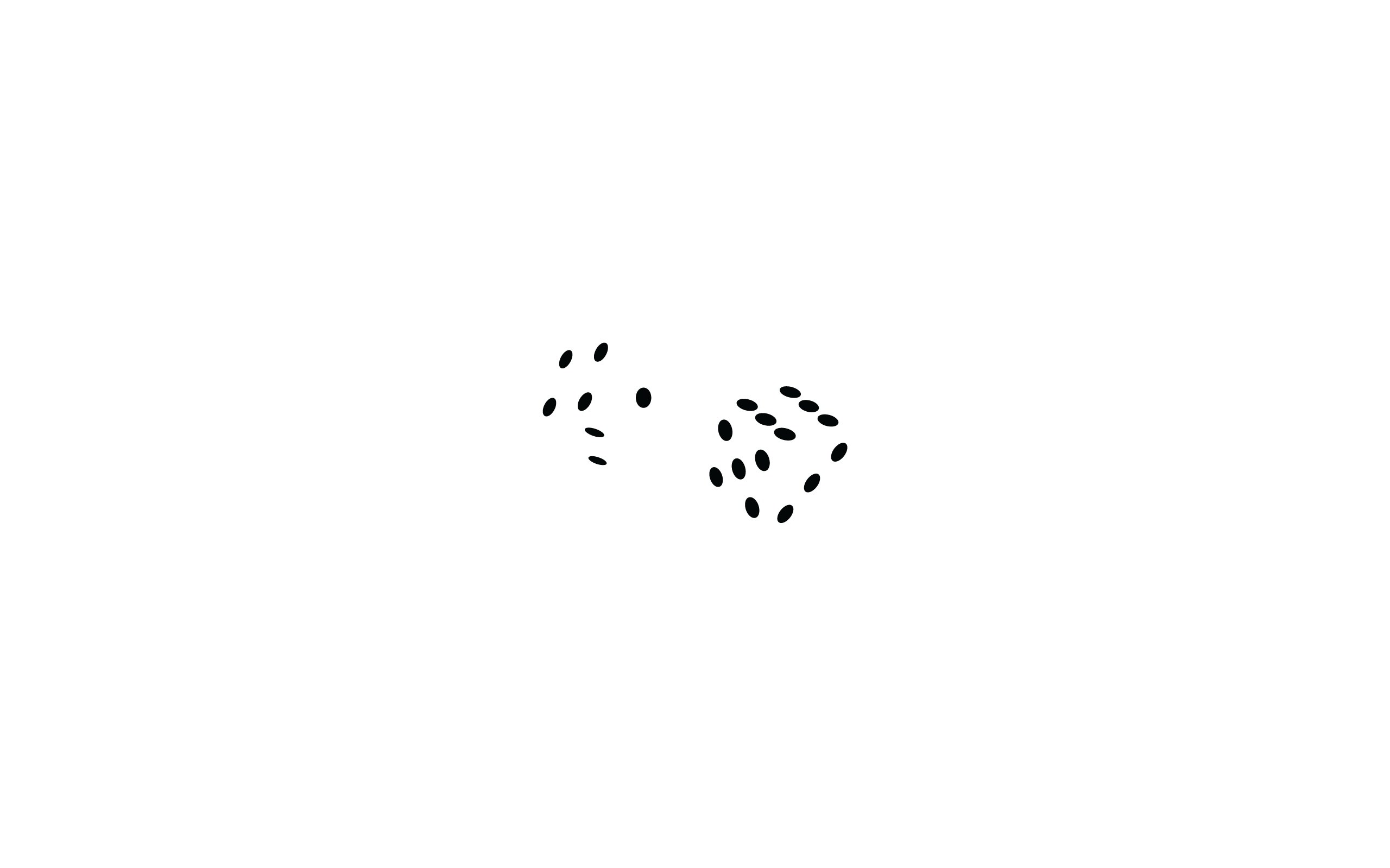two dice on white background