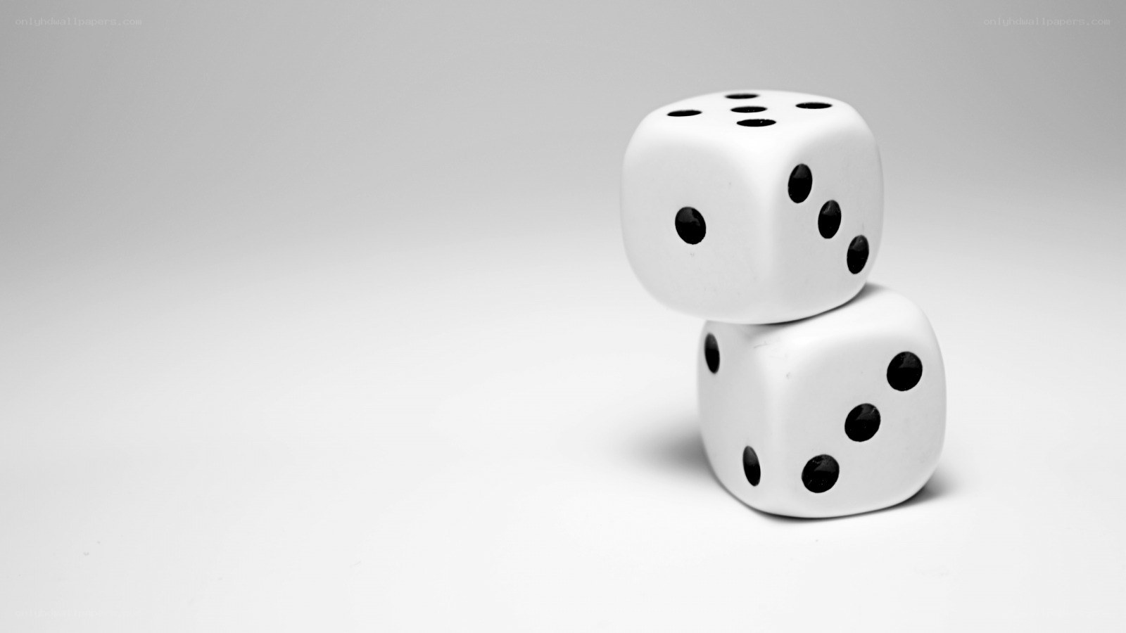 two dice stacked on white