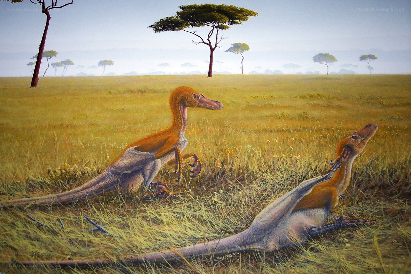 Two dinosaurs in a savanna