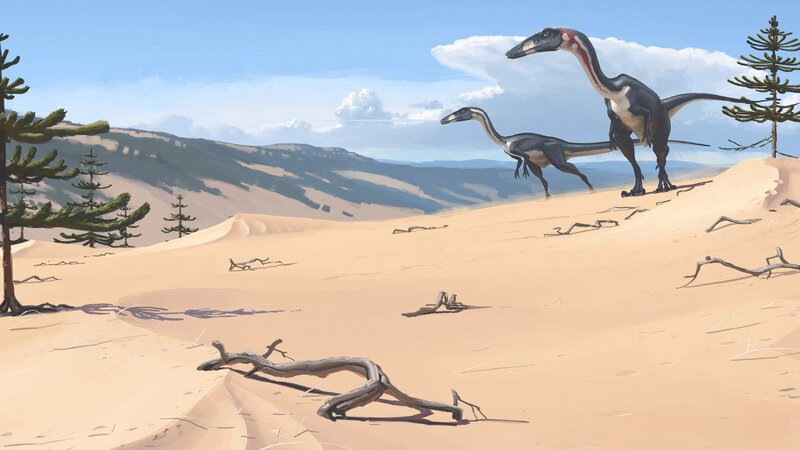 Two Dinosaurs in Desert
