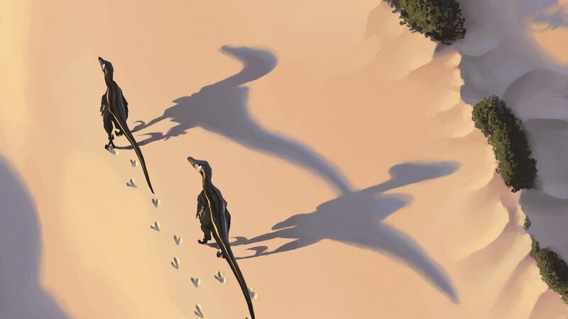Two Dinosaurs Walking