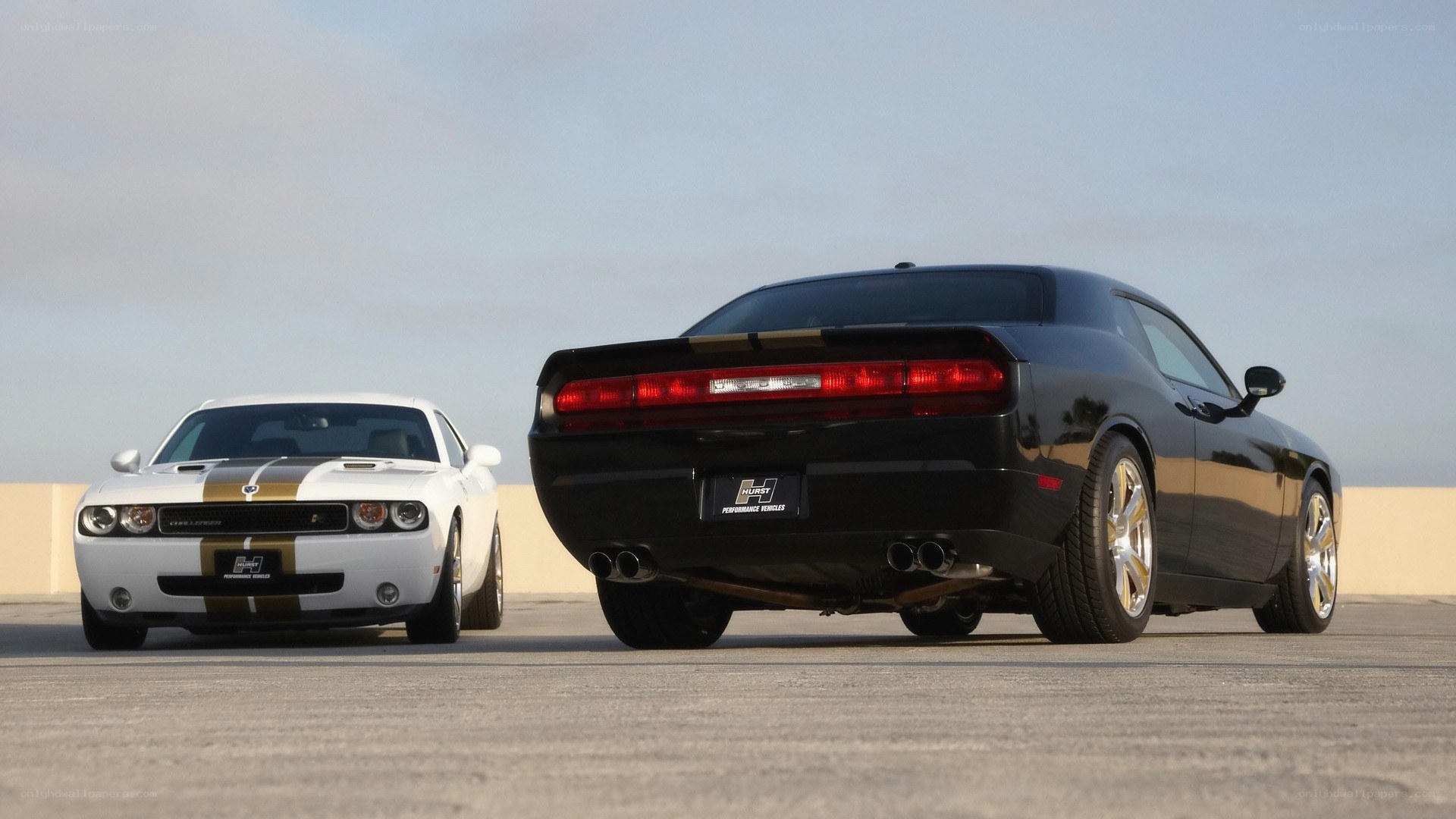 Two Dodge Challengers side by side