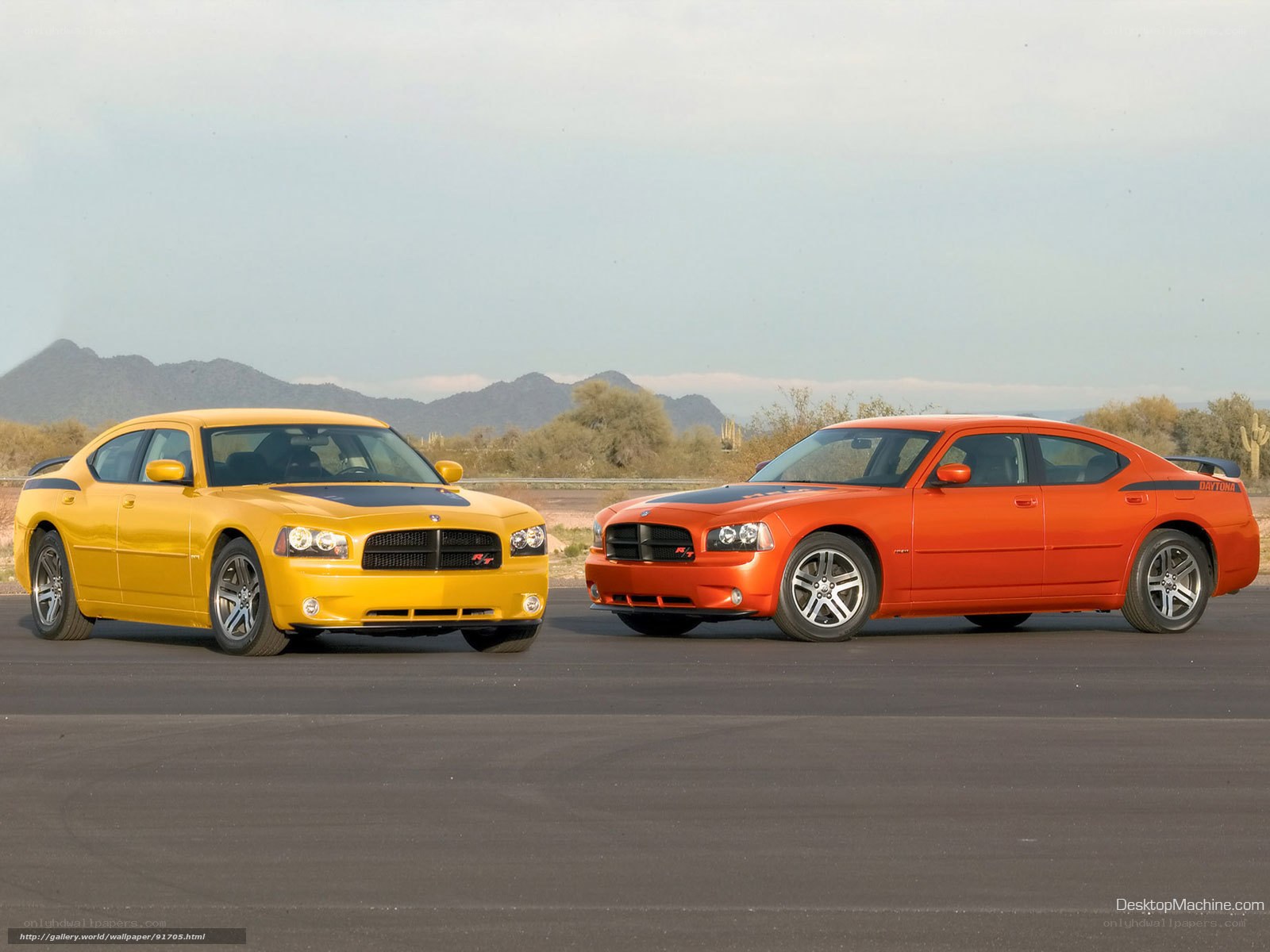 Two Dodge Chargers on a track