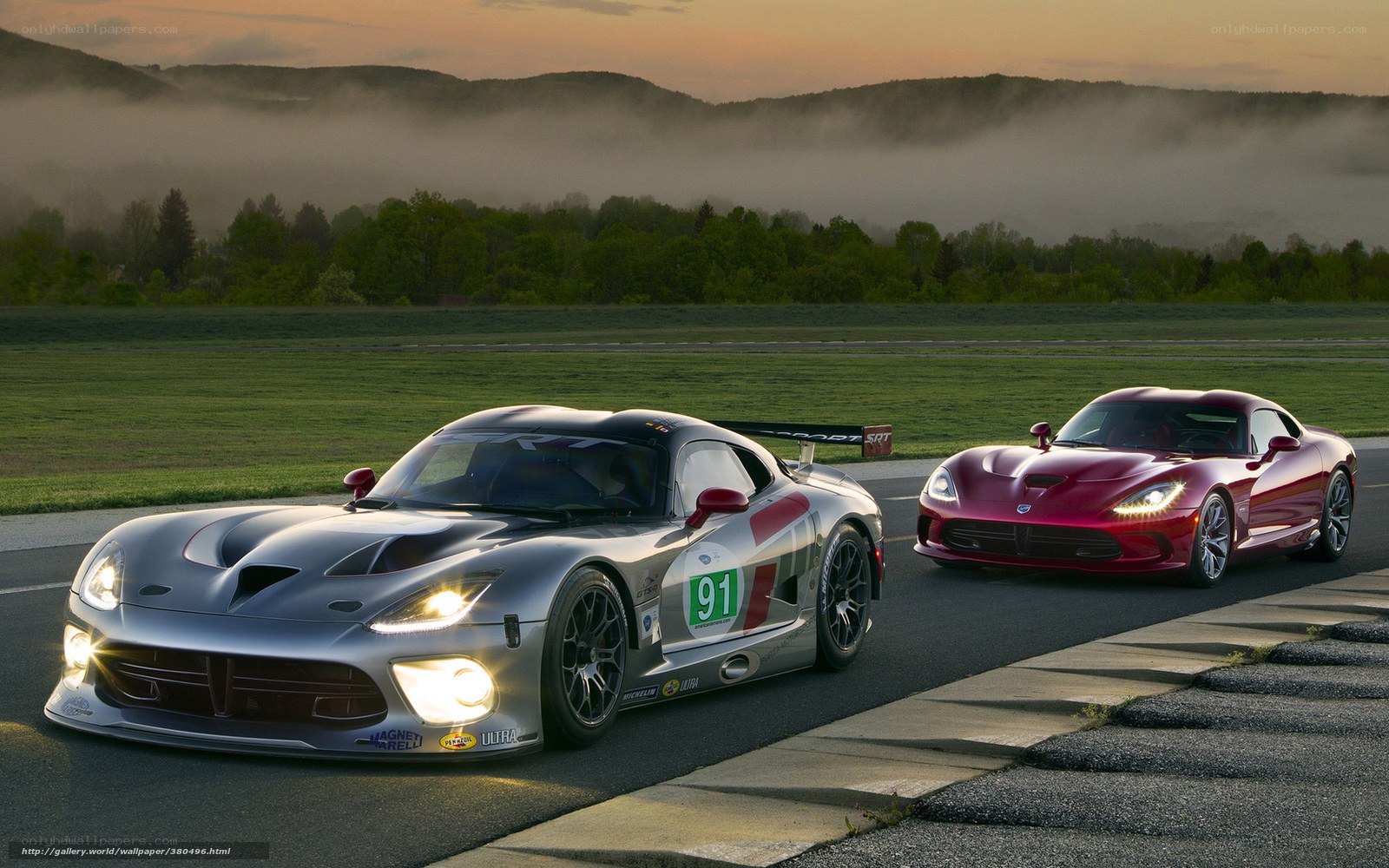 Two Dodge Vipers on a racetrack