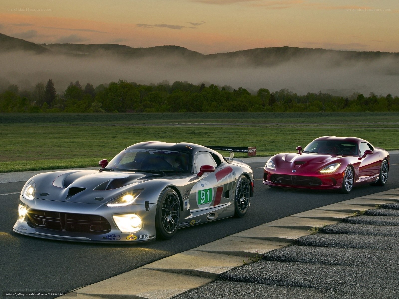 Two Dodge Vipers on a racetrack