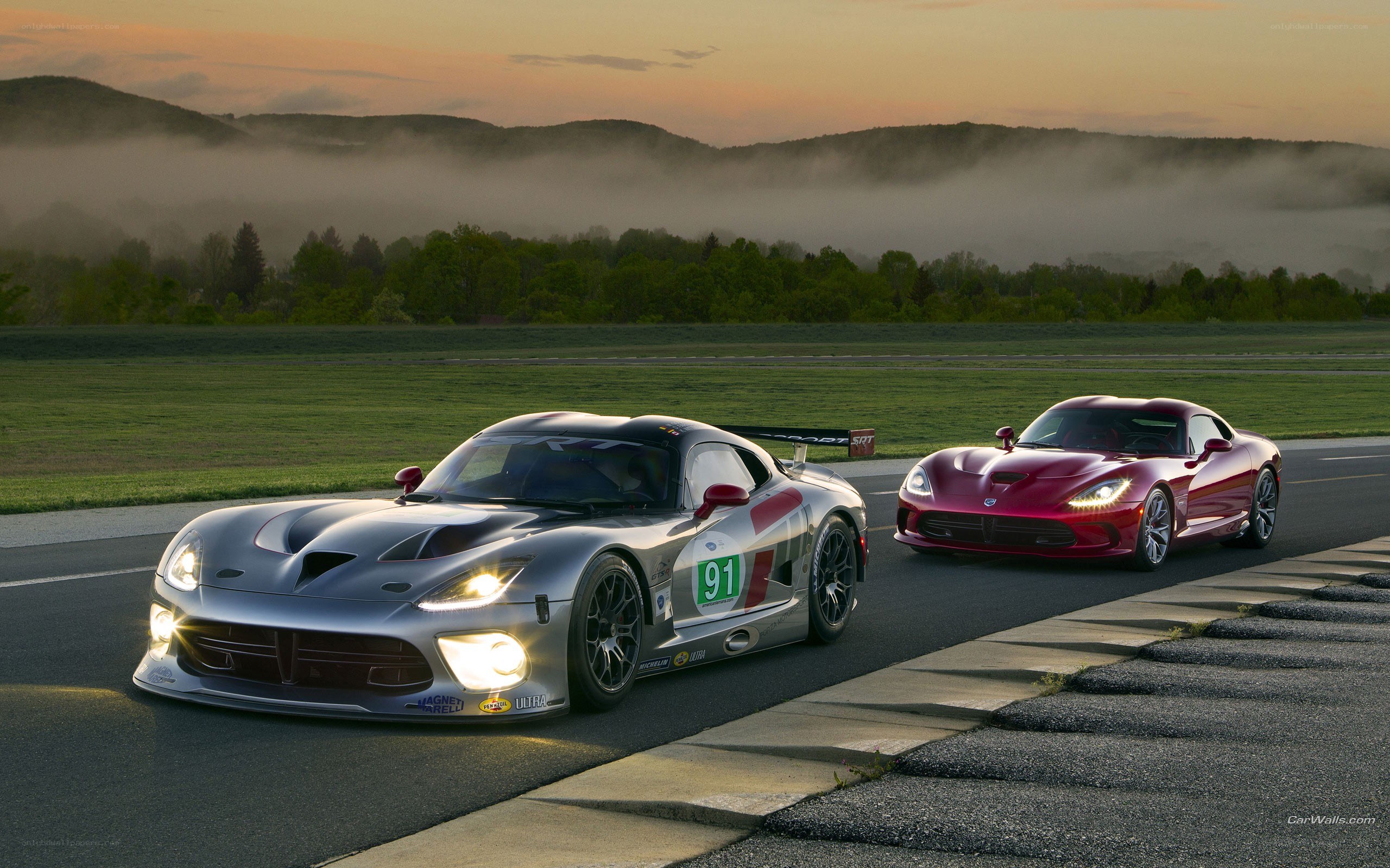 Two Dodge Vipers on a racetrack