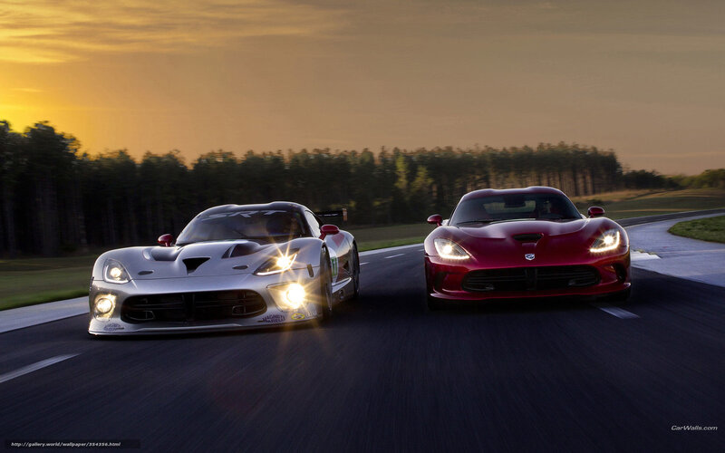 Two Dodge Vipers on a racetrack