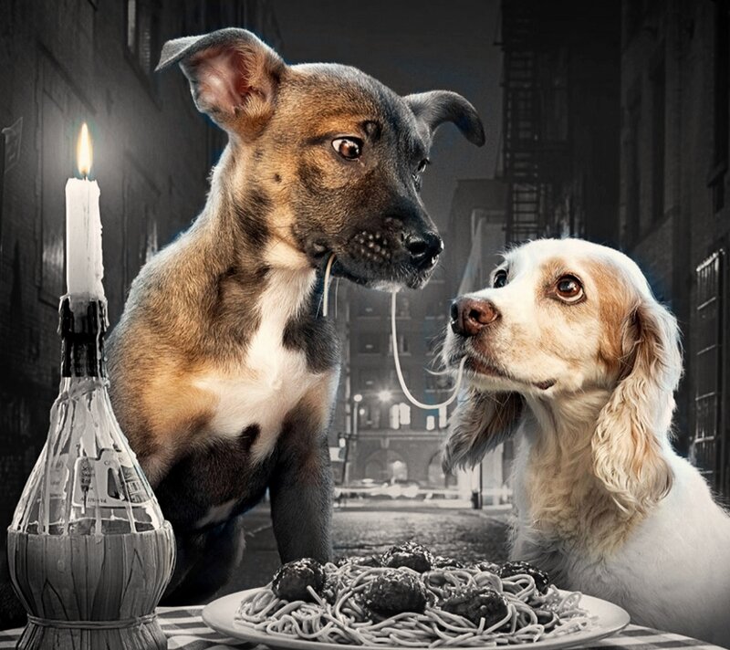 Two Dogs Eating Spaghetti — Black