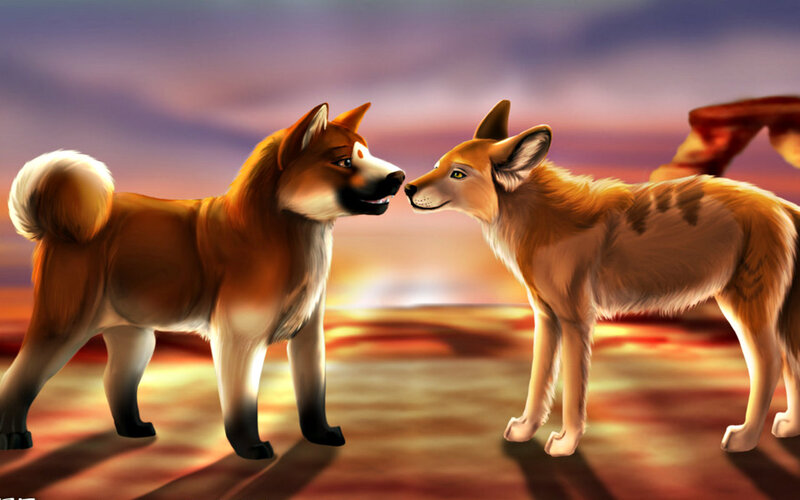 Two Dogs Facing Each Other — Orange