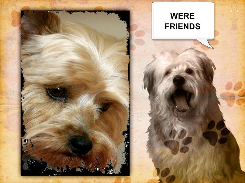 Two Dogs in Collage