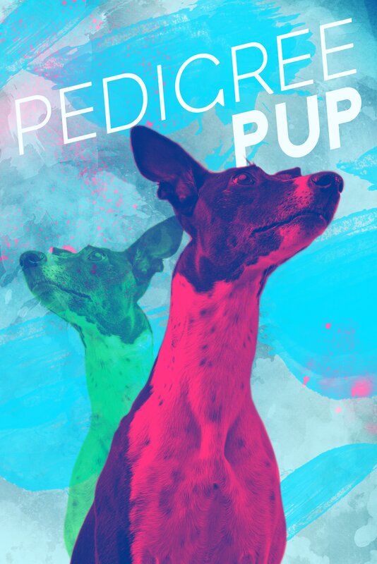 Two Dogs in Colorful Art