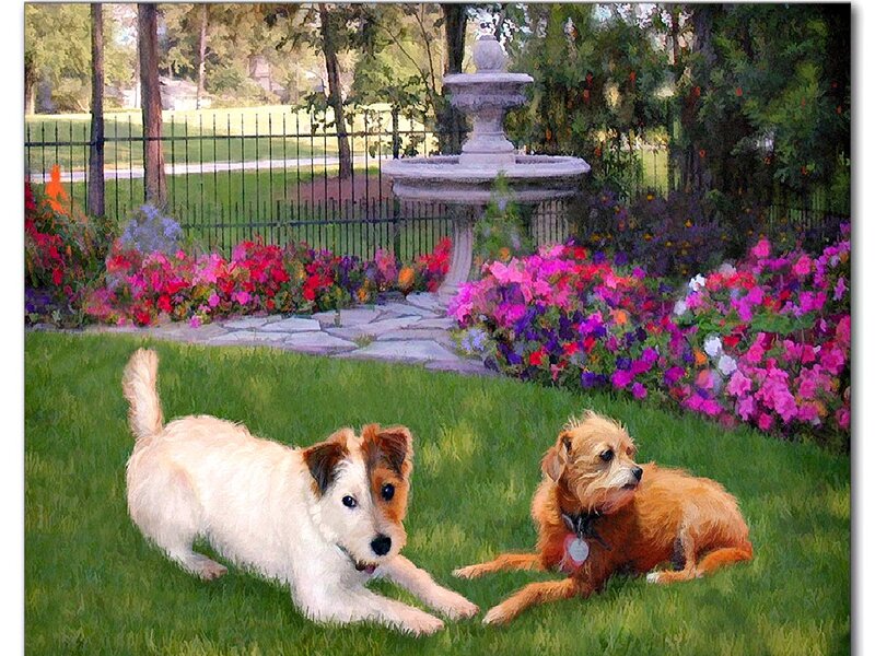 Two Dogs in Garden — Green