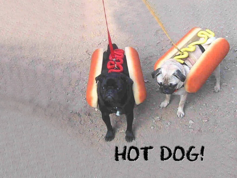 two dogs in hot dog costumes