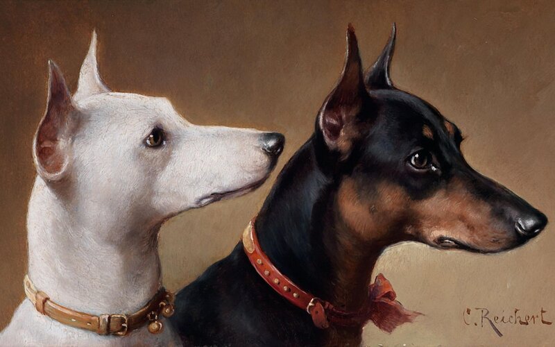 Two Dogs in Profile