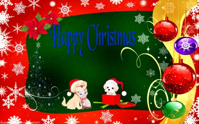Two Dogs in Santa Hats