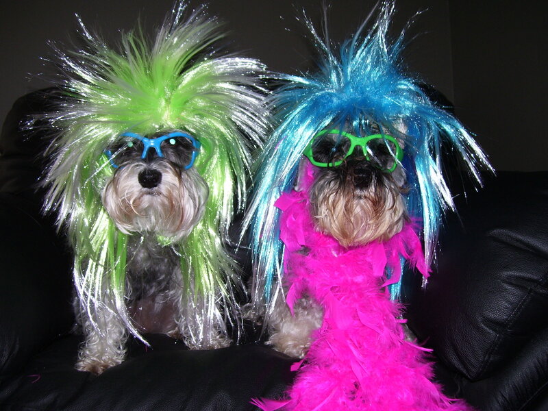 Two Dogs in Wigs — Green