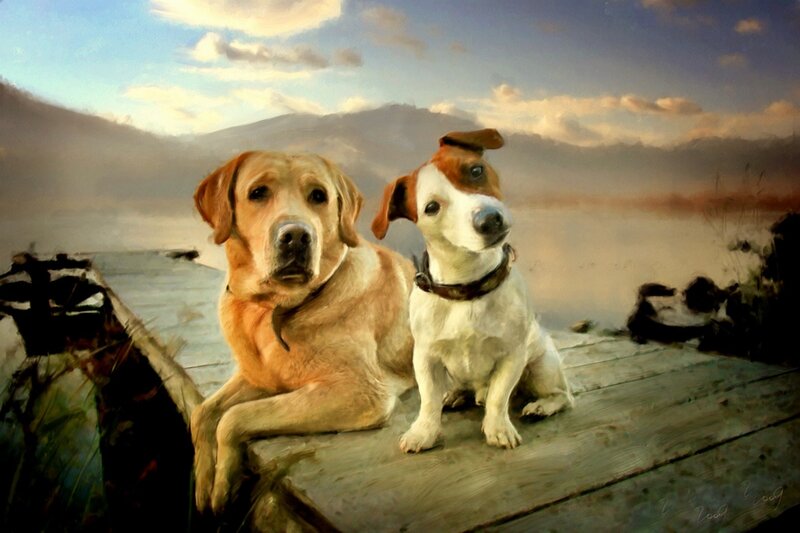 Two Dogs on a Dock