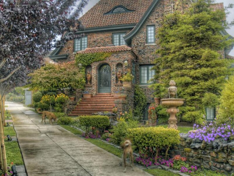 Two Dogs on a Sidewalk