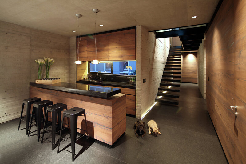 Two Dogs on Floor — Brown
