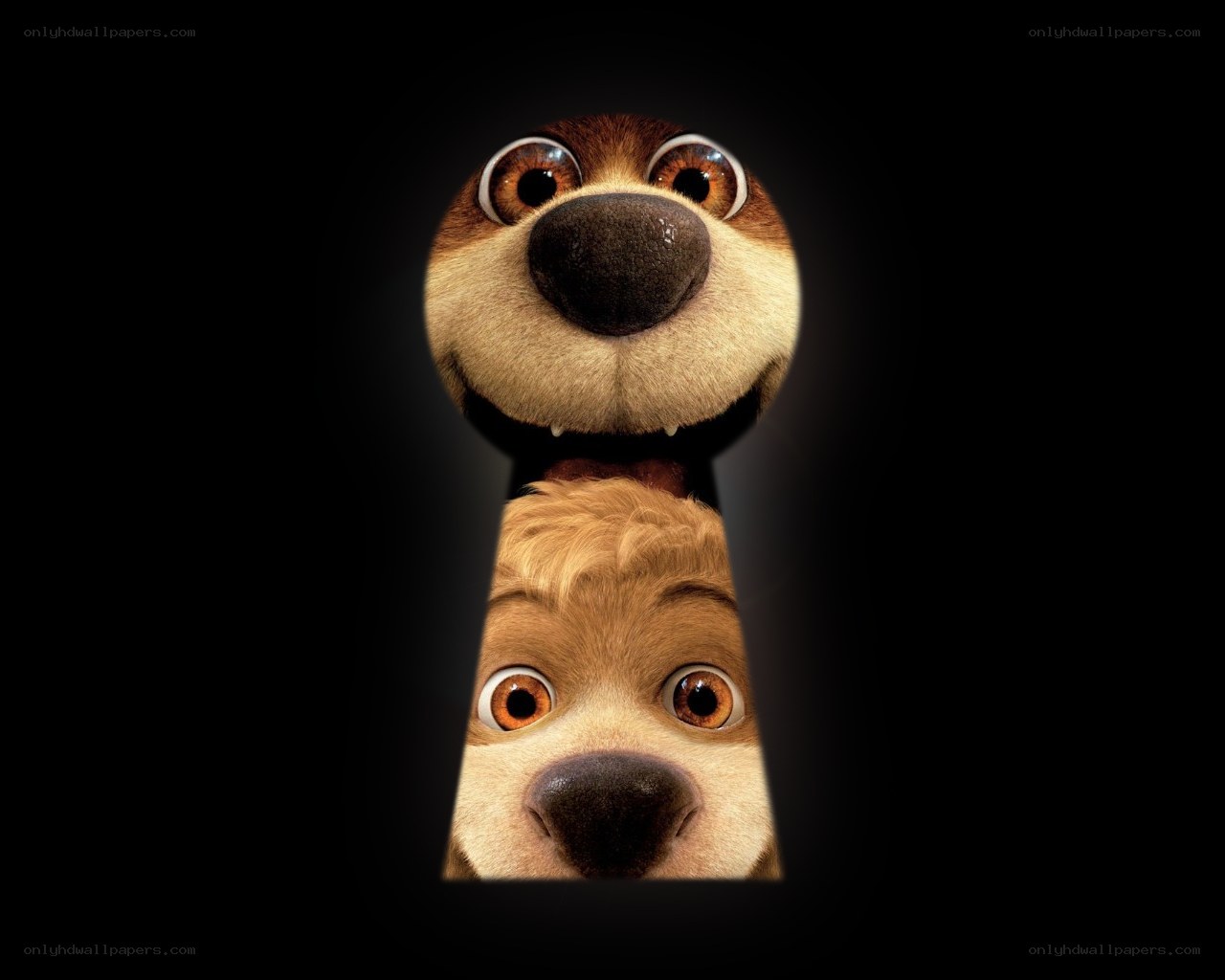 two dogs peeking through a keyhole
