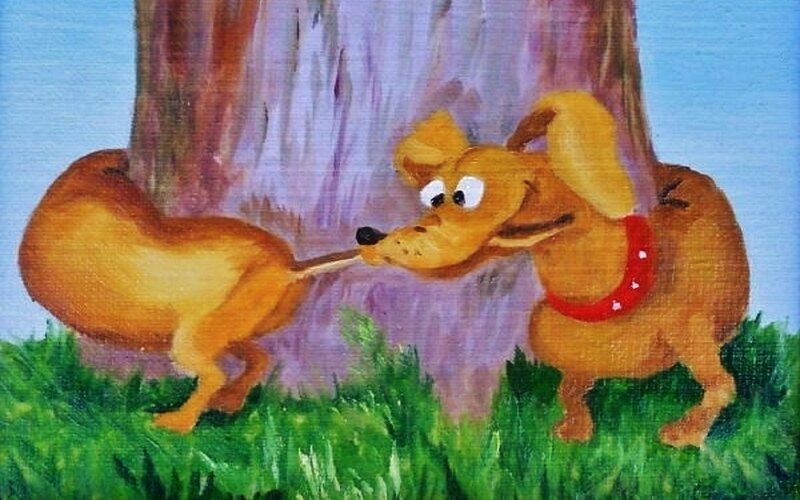 Two Dogs Playing — Green, Playful, Afternoon