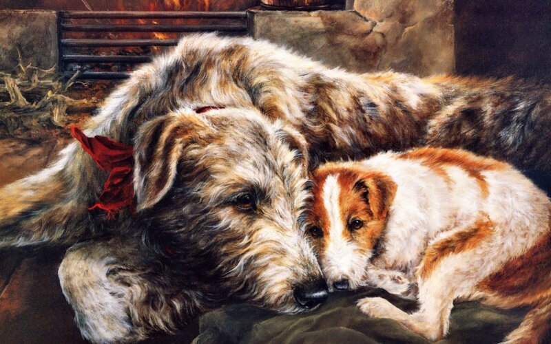 Two Dogs Resting