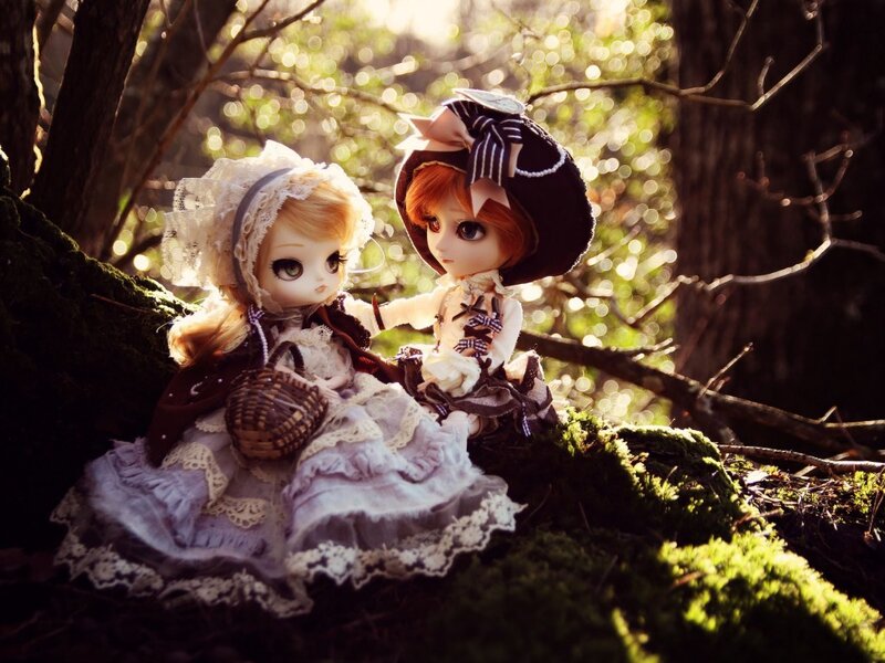 Two Dolls in Forest