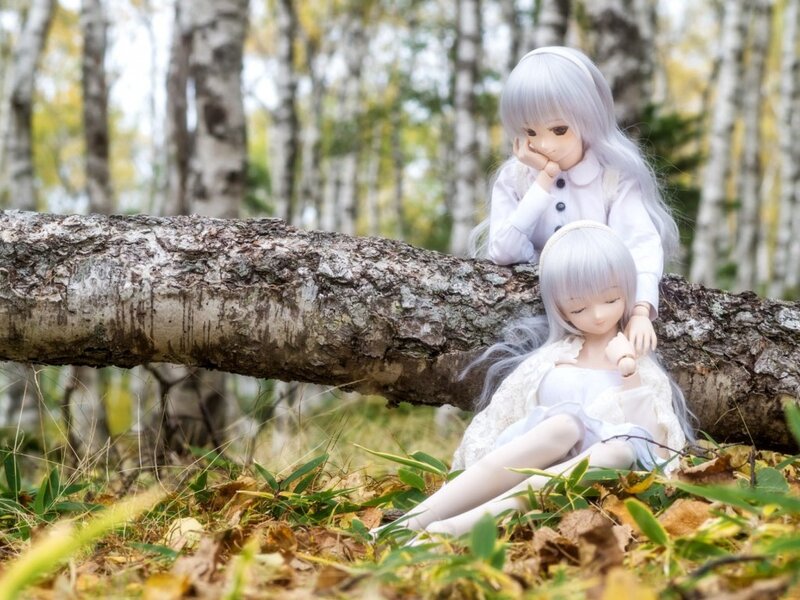 Two Dolls in Forest — White