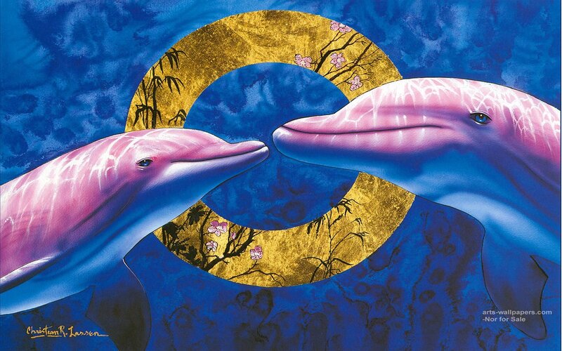 Two Dolphins Facing Each Other