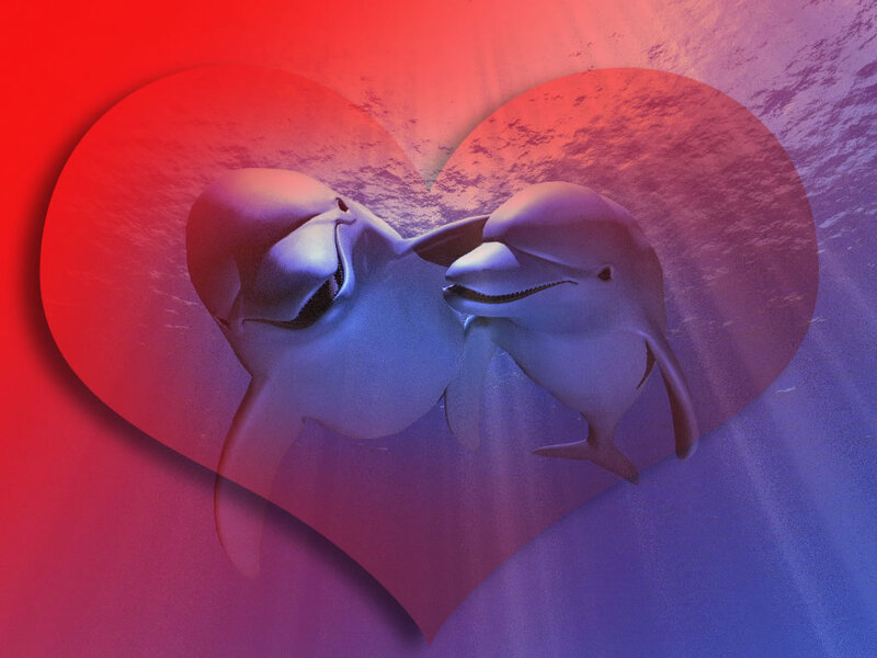 Two Dolphins in Heart